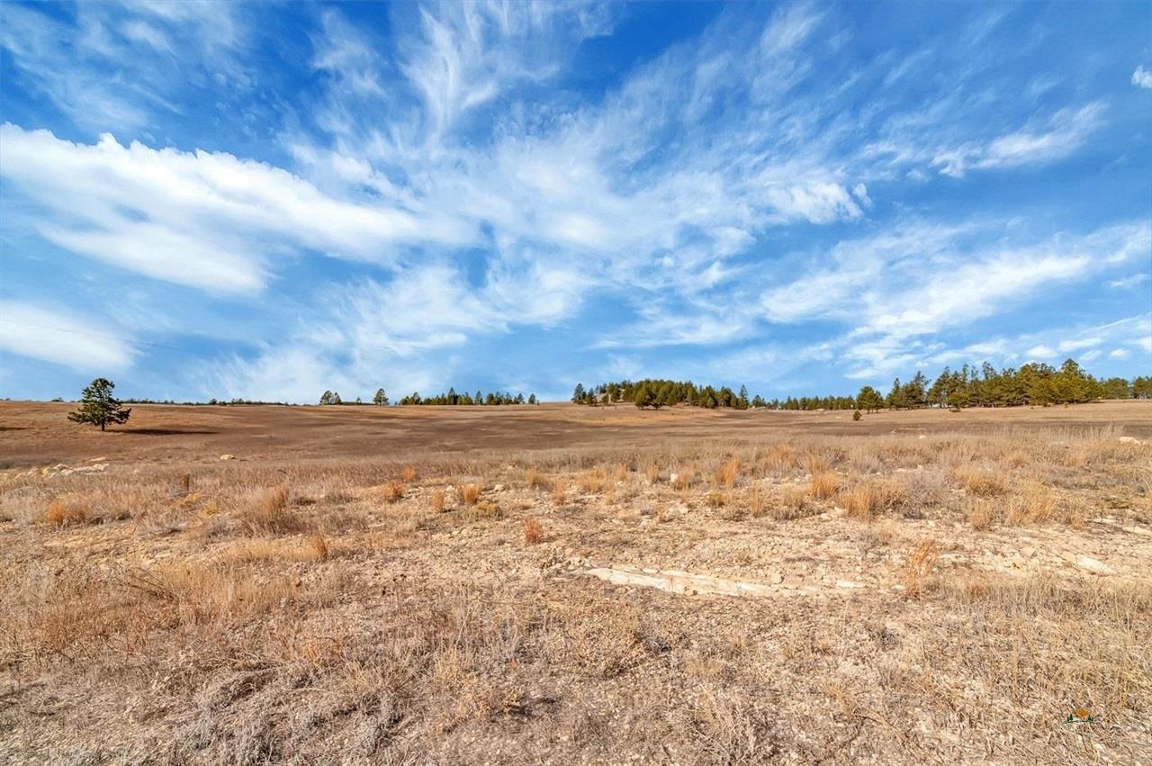 Lot 10 Lonesome Dove Street Property Photo 23