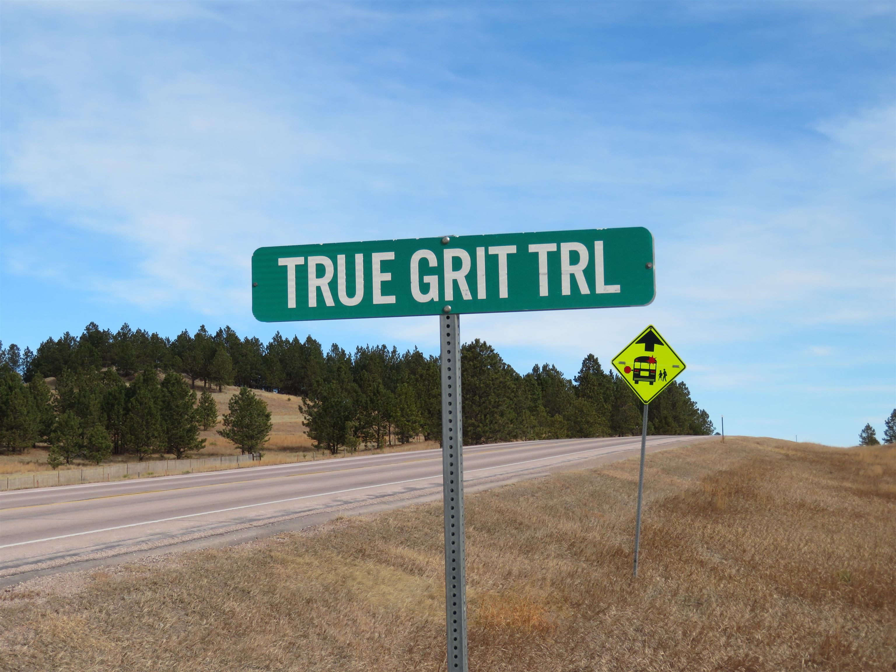 Lot 10 Lonesome Dove Street Property Photo 32
