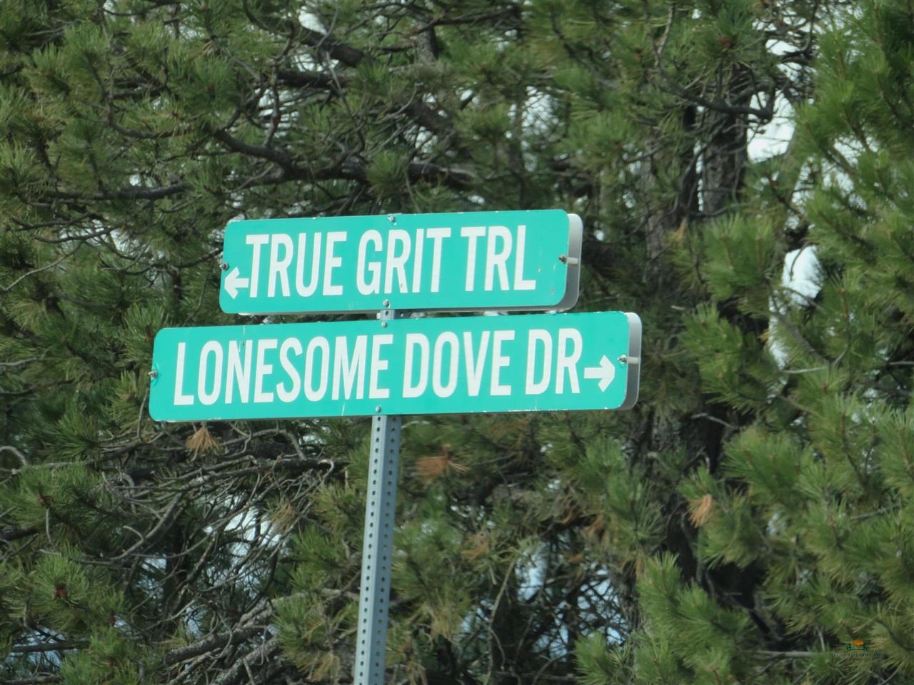 Lot 10 Lonesome Dove Street Property Photo 33