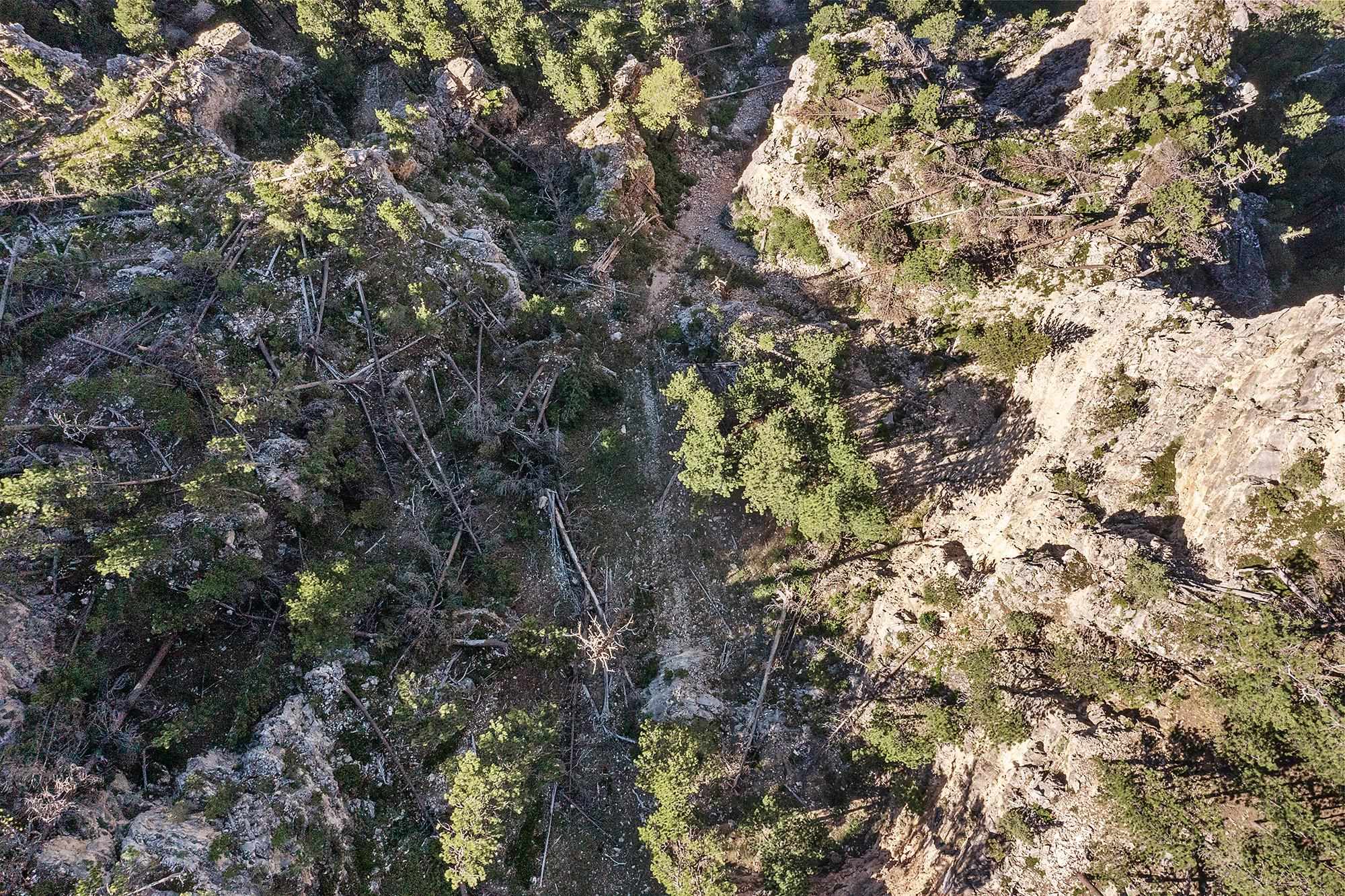 10685 Billie Lane Property Photo 4