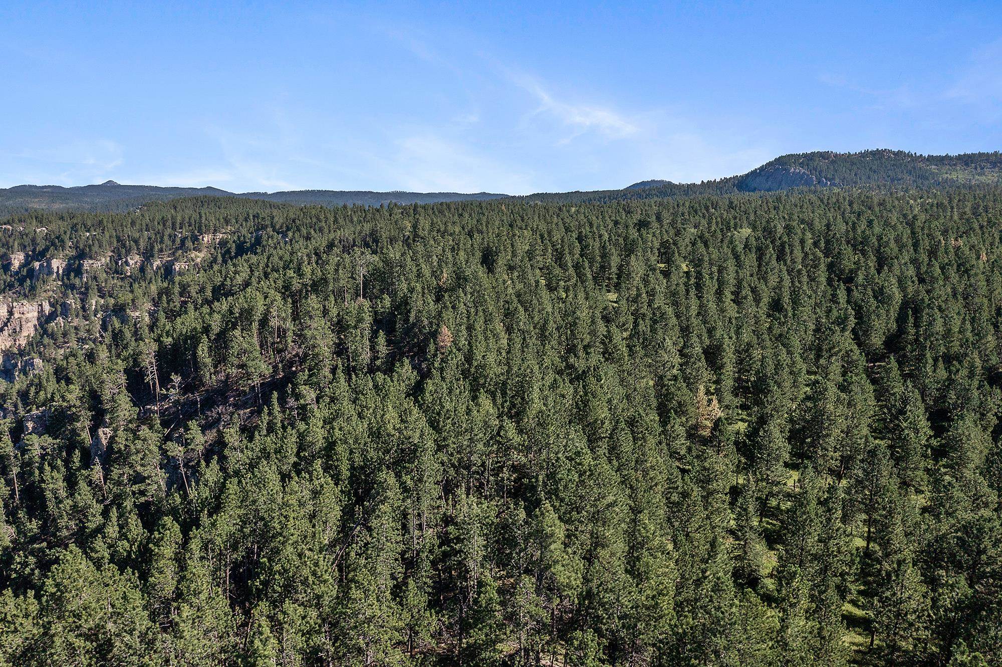 10685 Billie Lane Property Photo 13