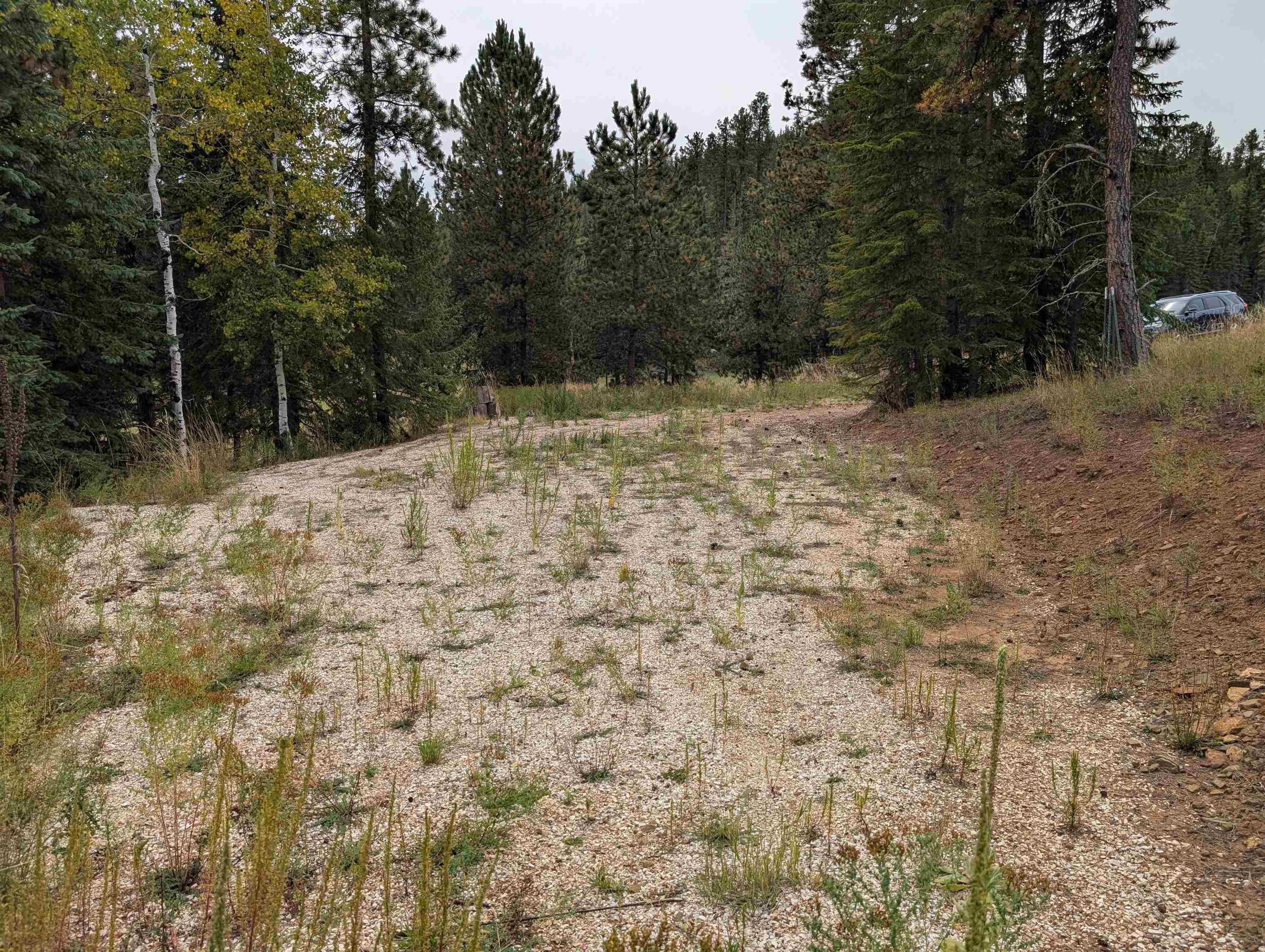 21606 Ginty Court Property Photo 1
