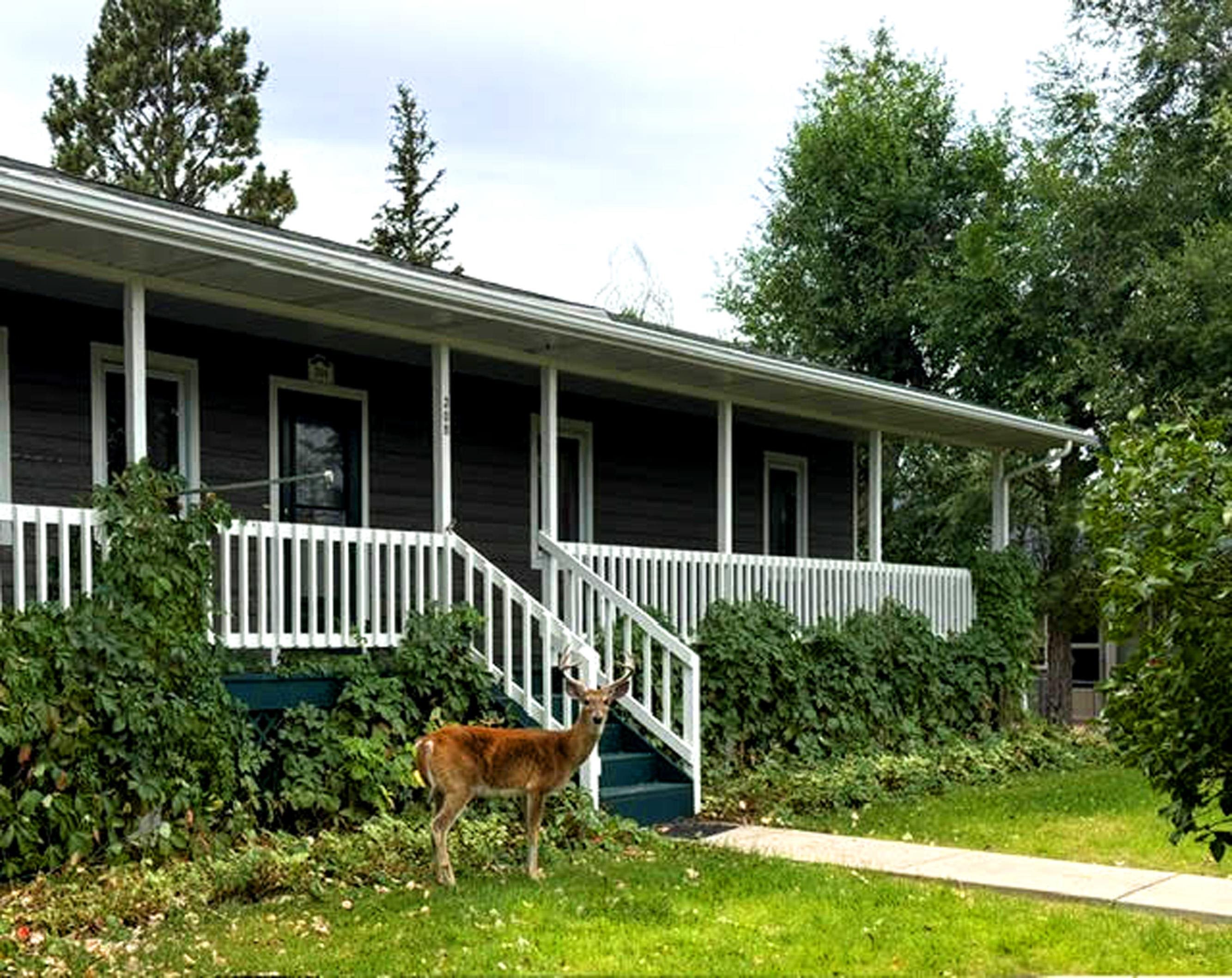 308 E Thompson Property Photo 1