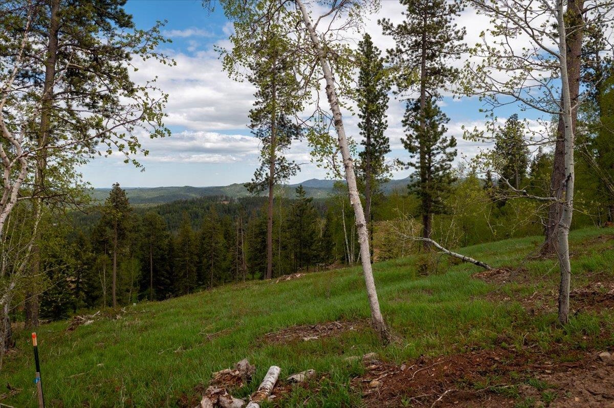 Lot 49 Liberty Ln Property Photo 7