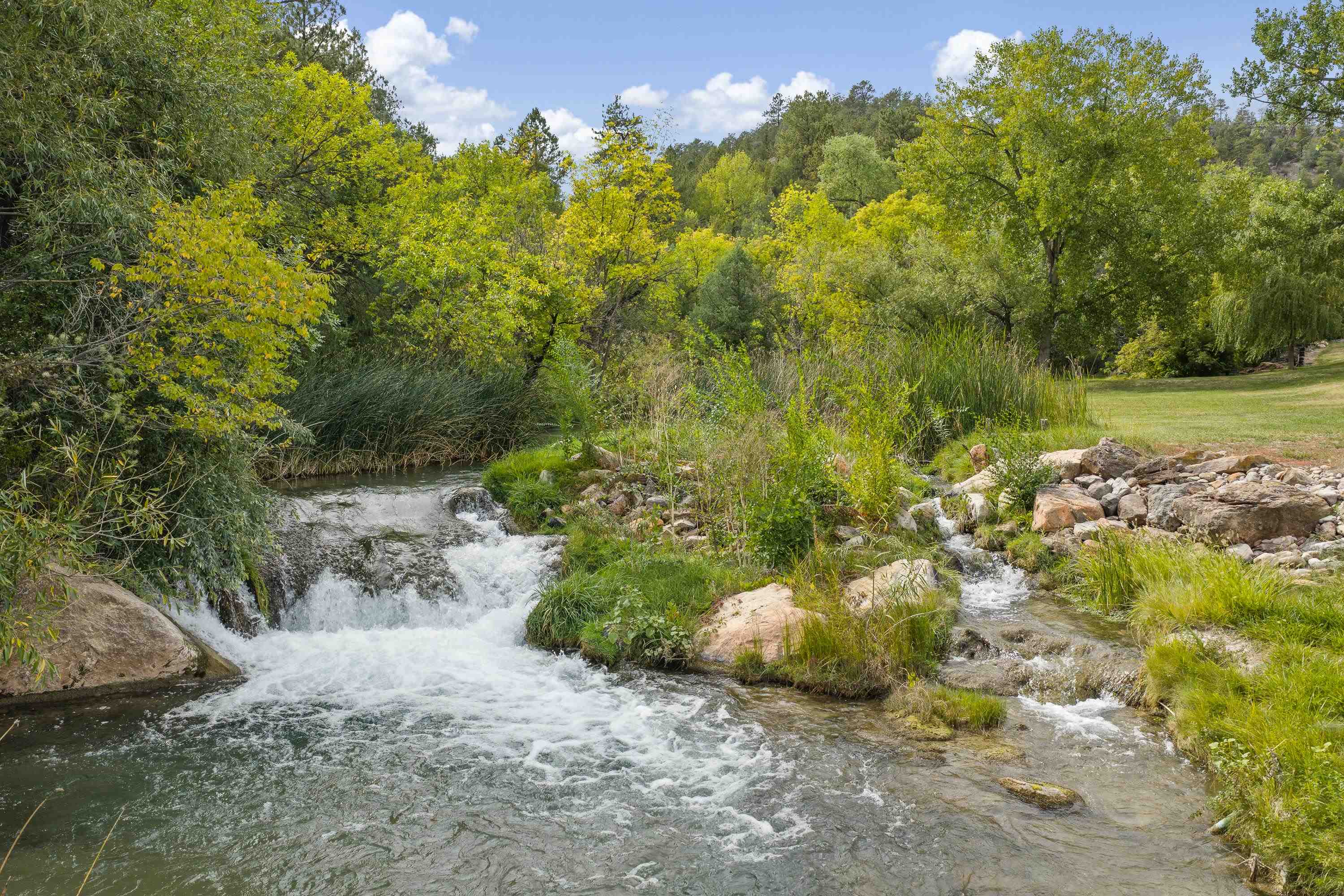 13115 Wild Turkey Lane Property Photo 4