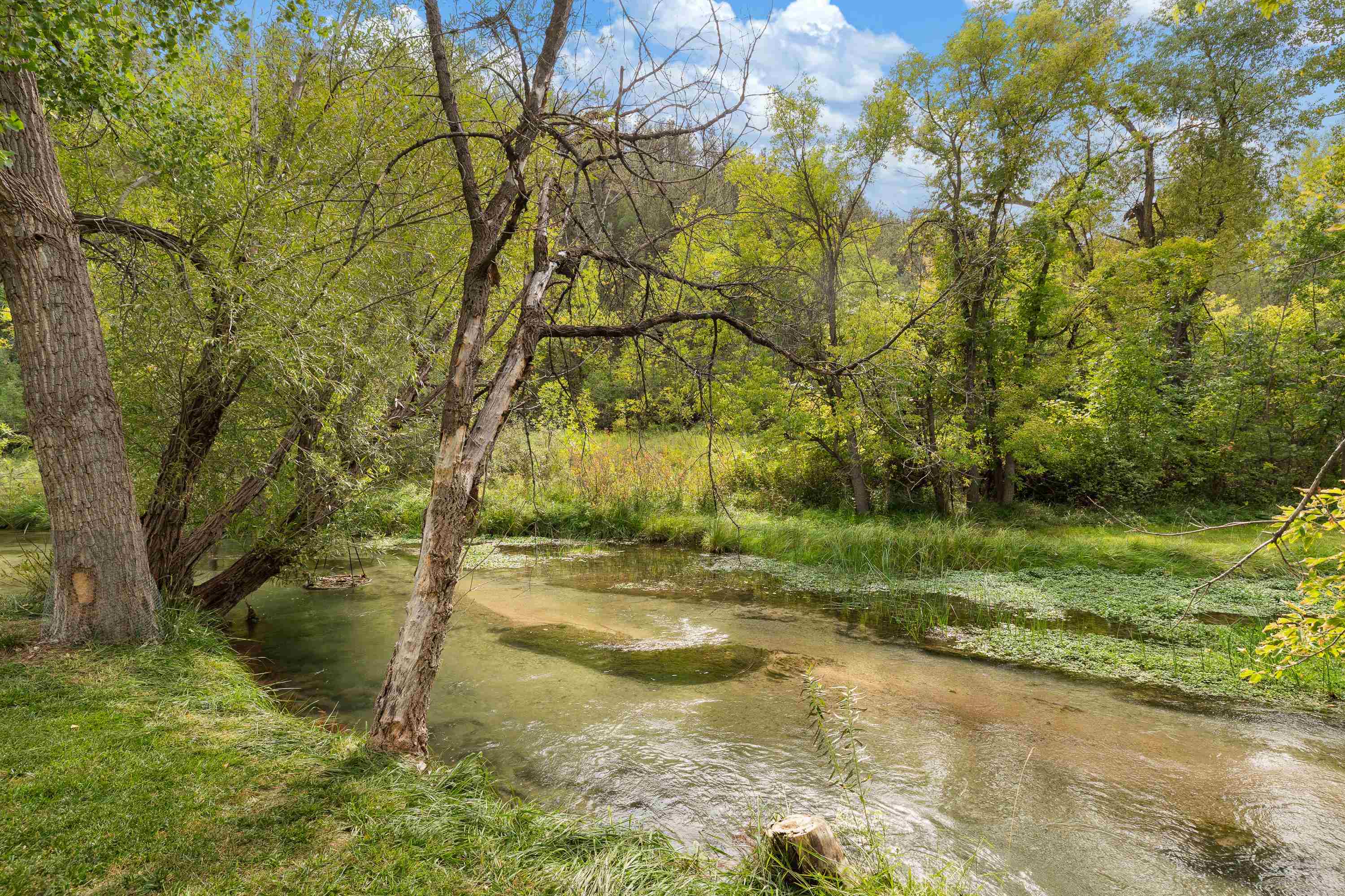 13115 Wild Turkey Lane Property Photo 12