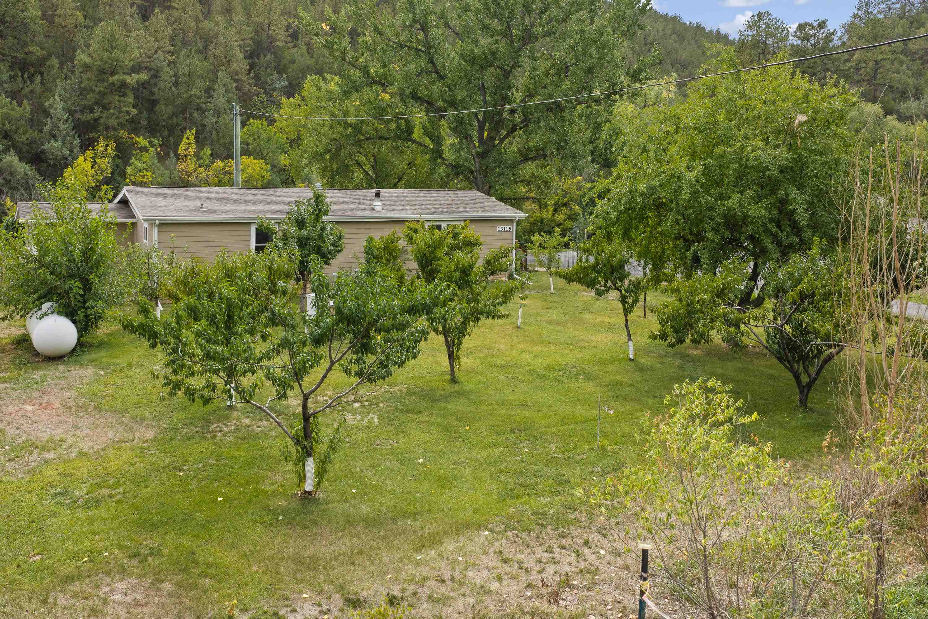 13115 Wild Turkey Lane Property Photo 25