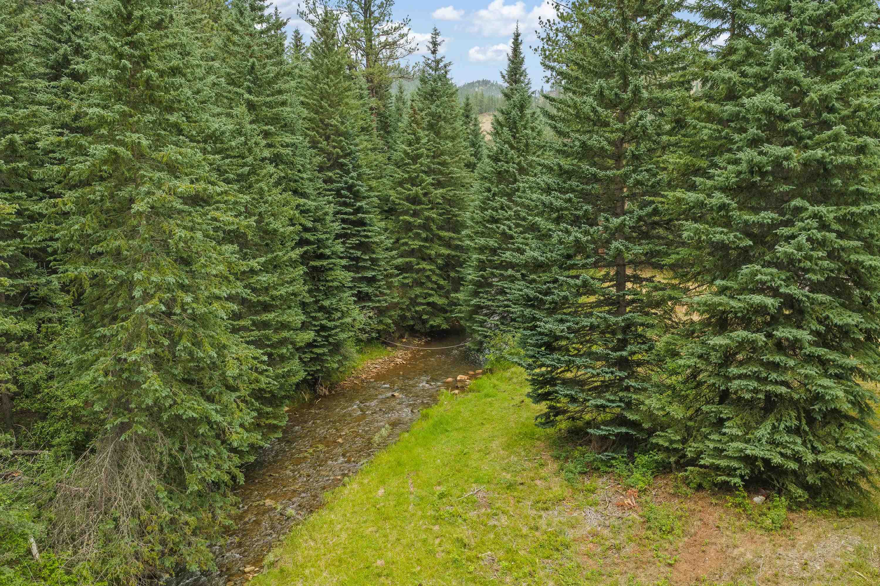 11755 Rochford Road Property Photo 3