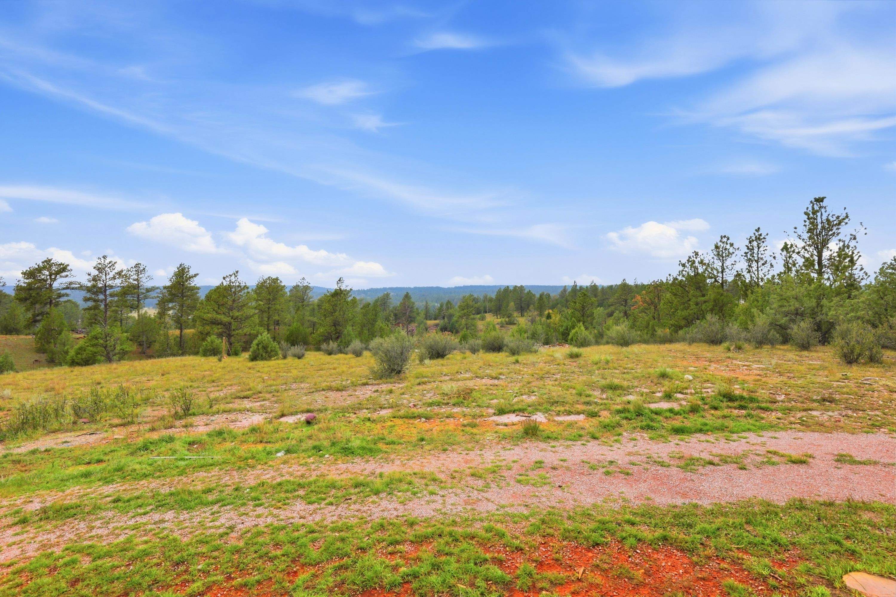 26951 Battle Mountain Parkway Property Photo 35