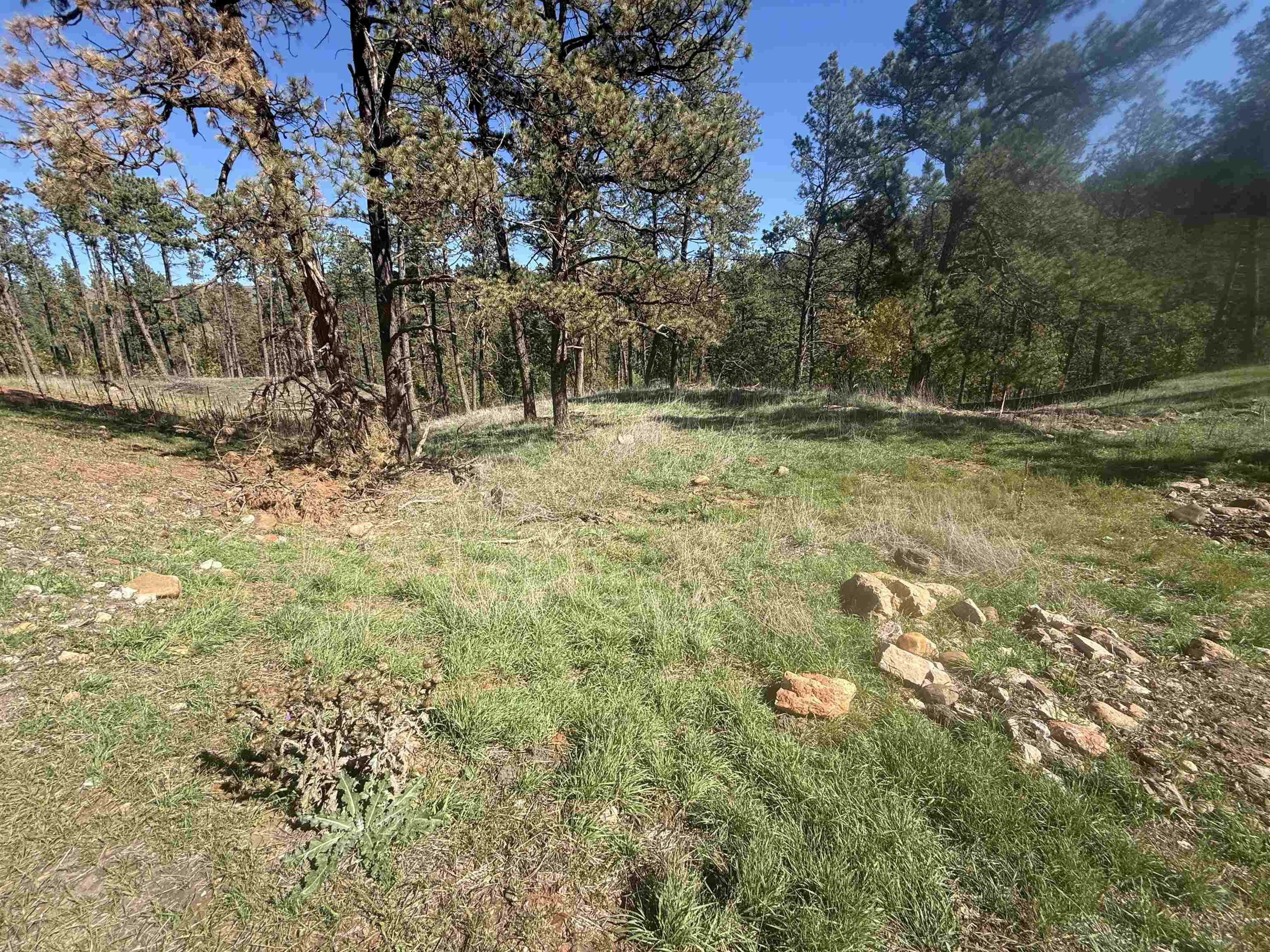 5304 Wind River Road Property Photo 3