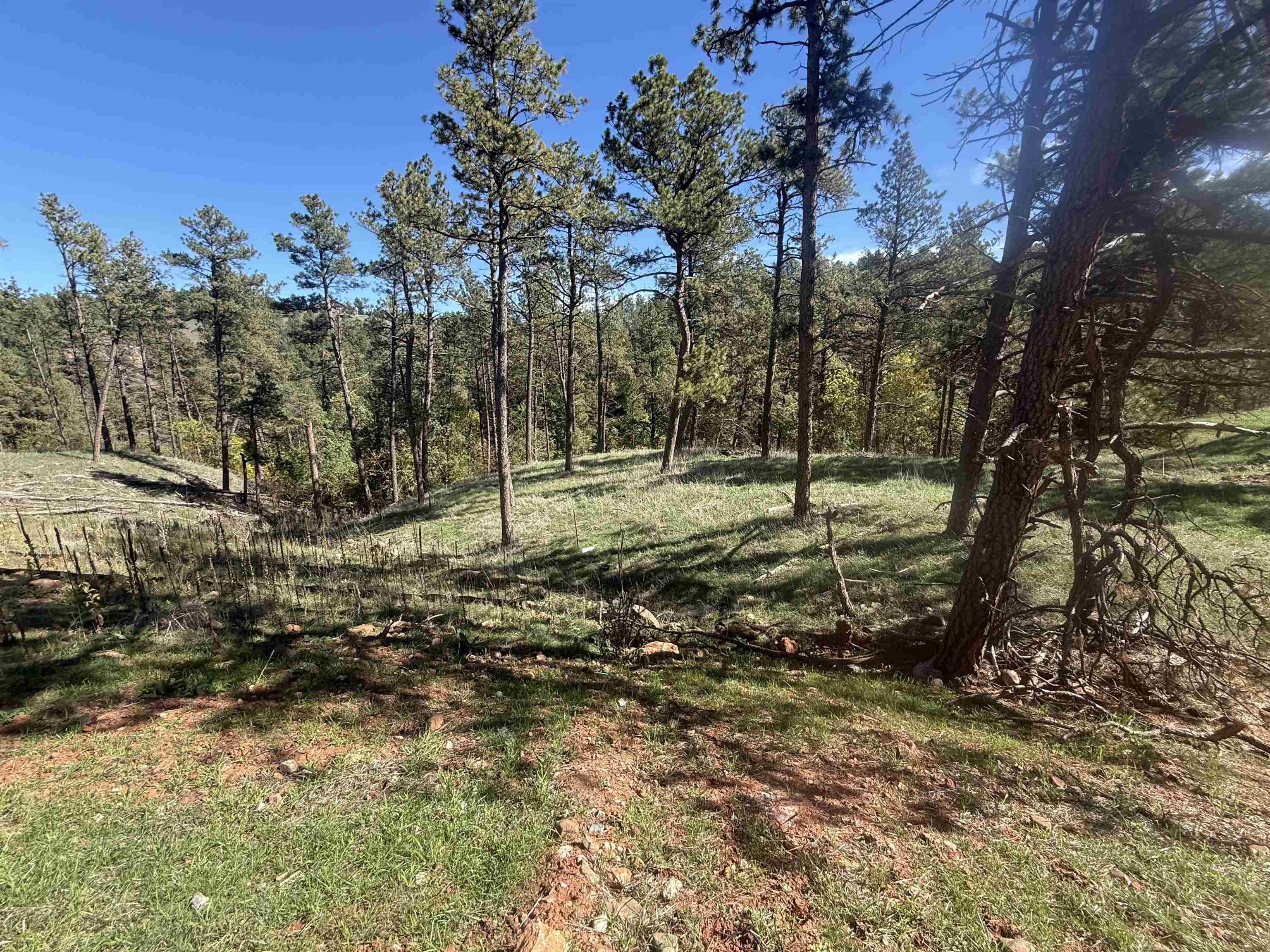 5304 Wind River Road Property Photo 4