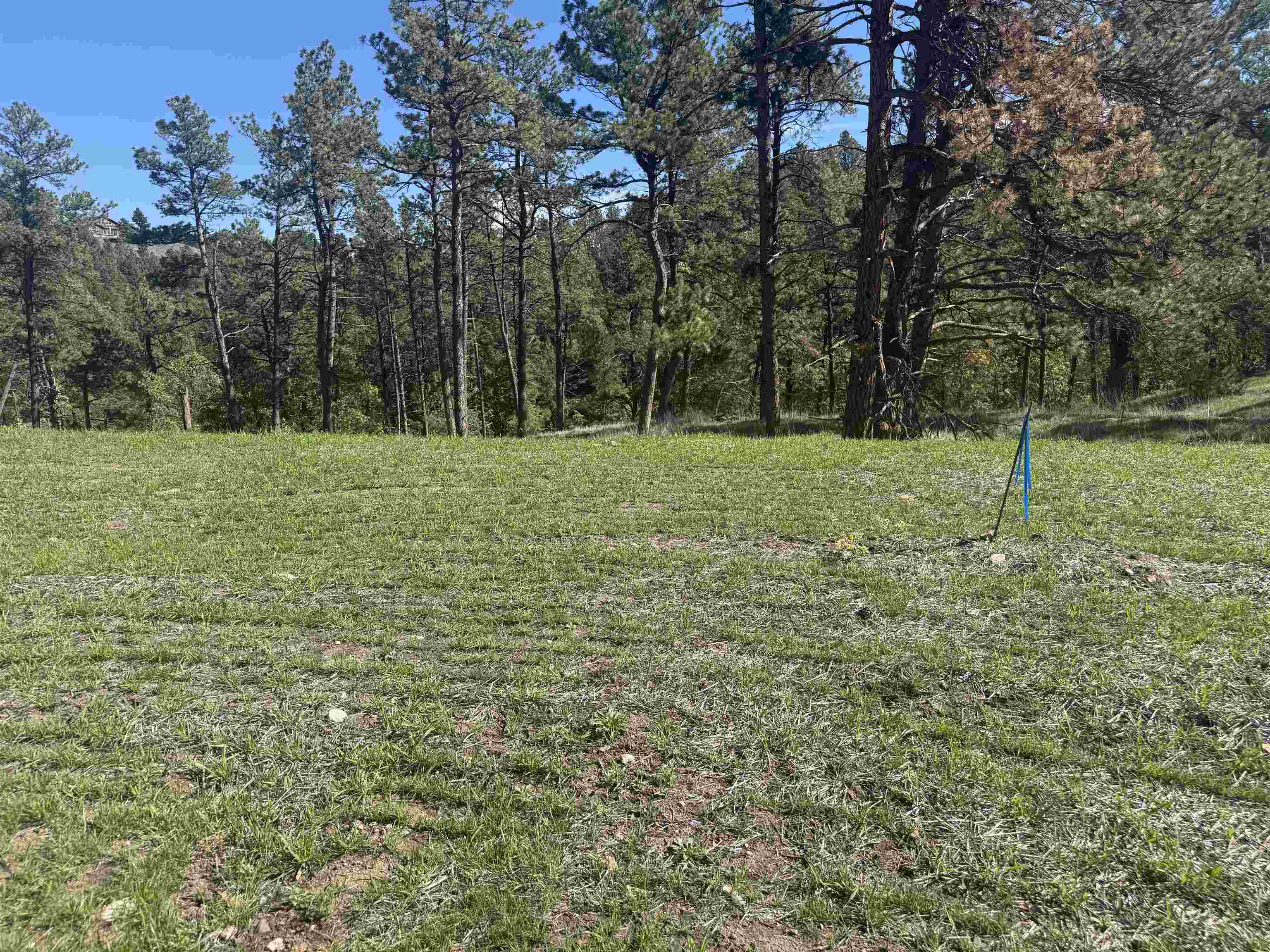 5304 Wind River Road Property Photo 5