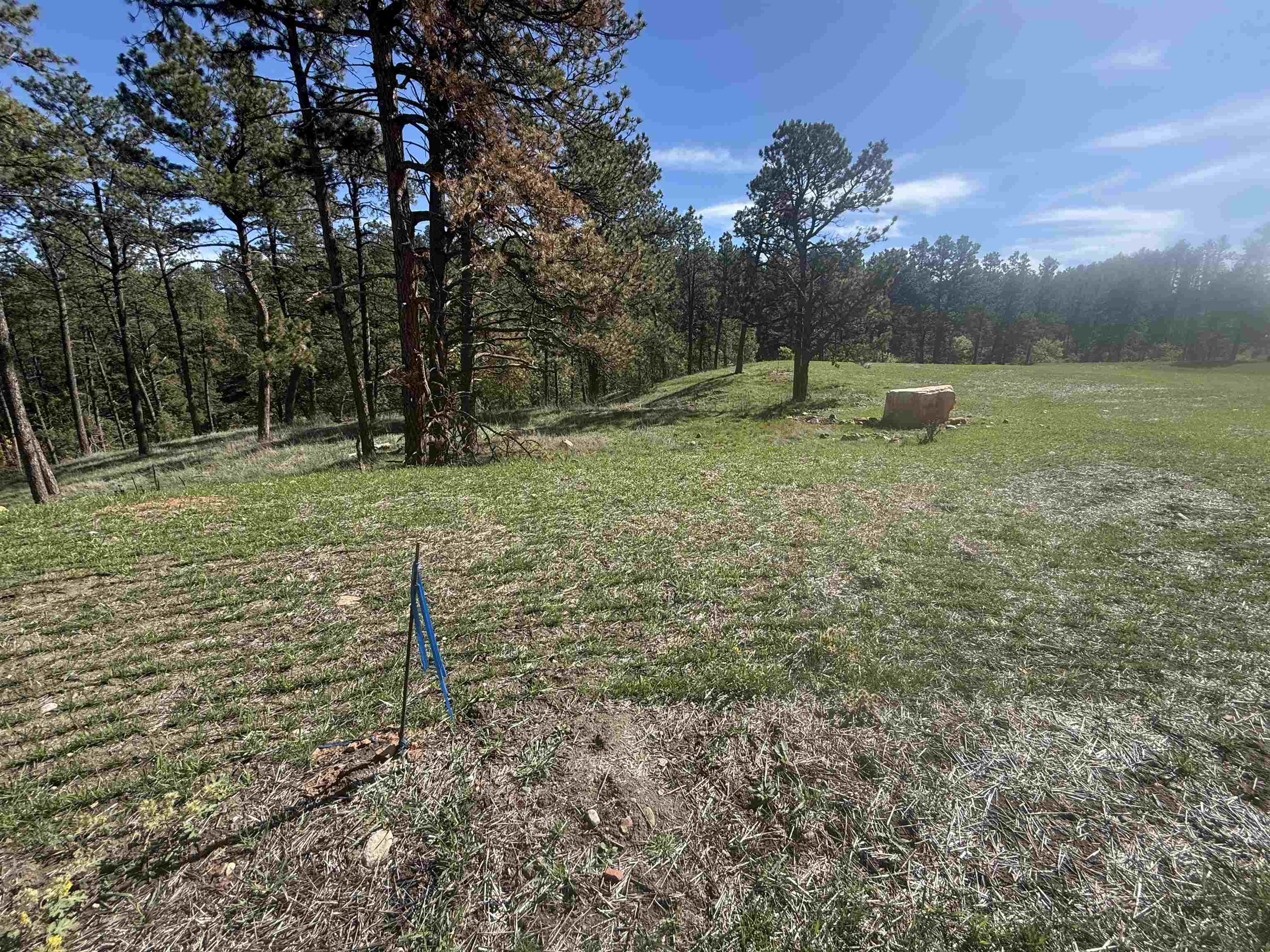 5304 Wind River Road Property Photo 6