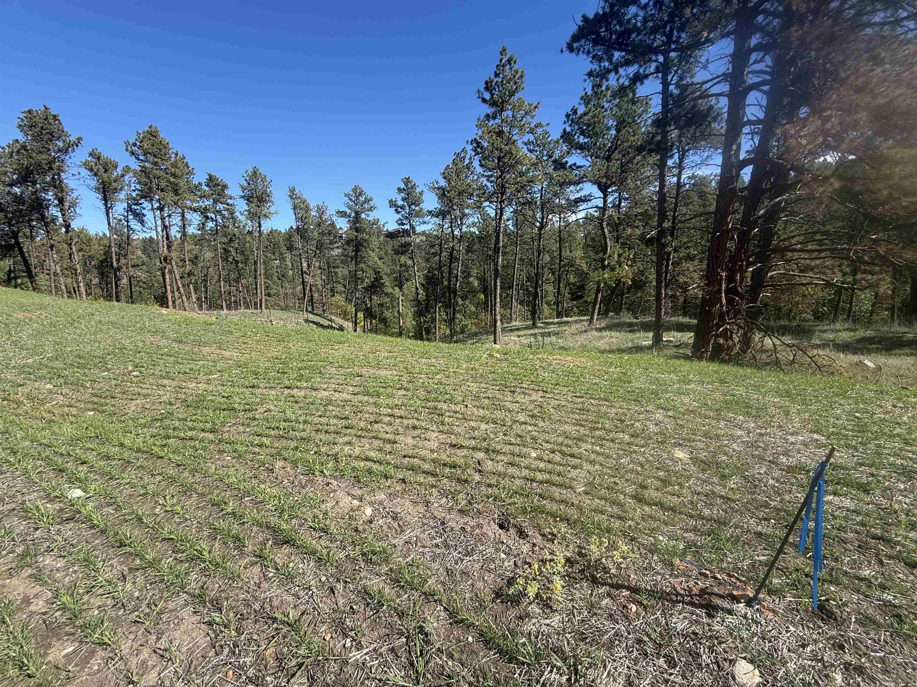 5304 Wind River Road Property Photo 7