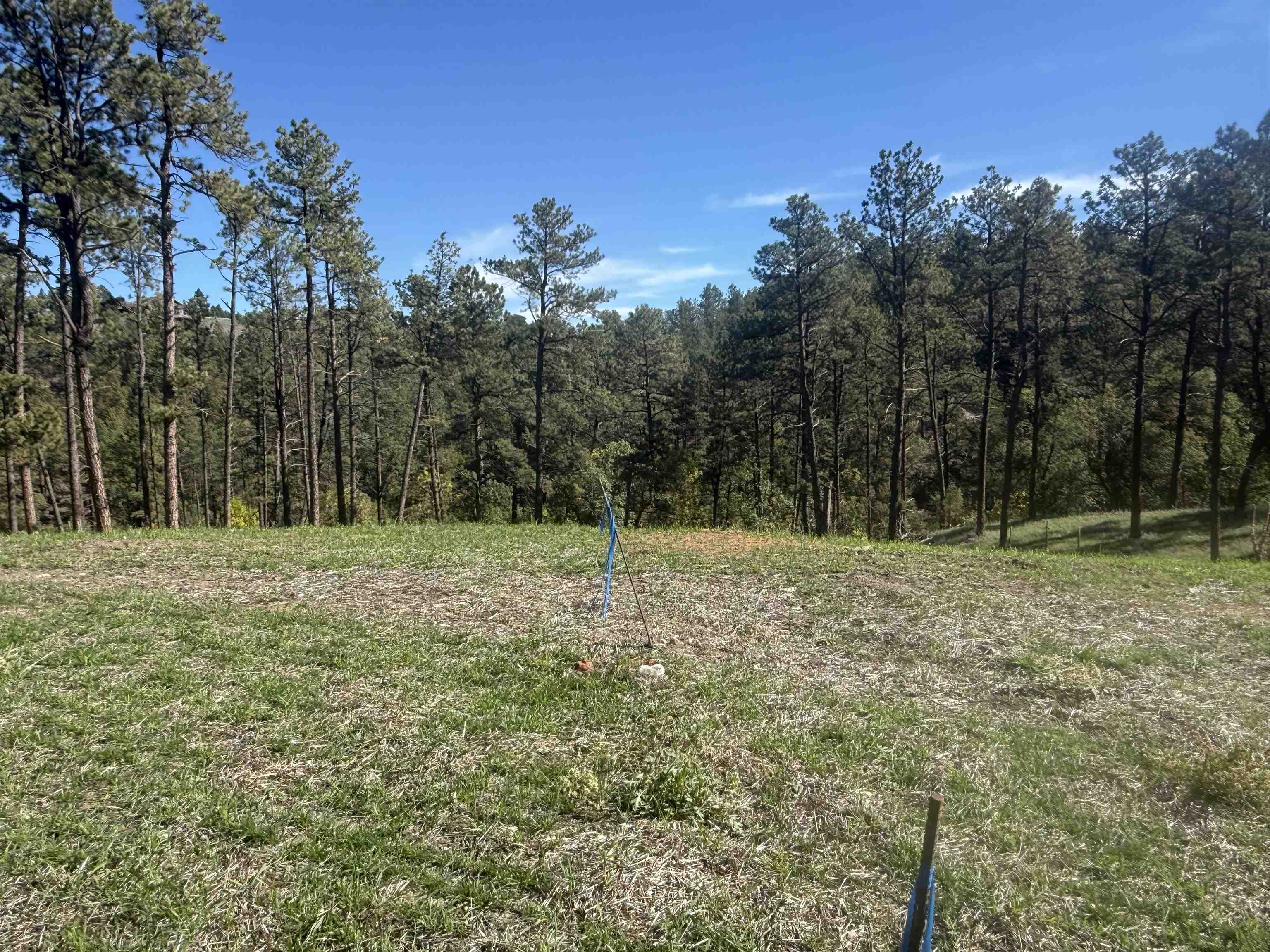 5224 Wind River Road Property Photo 1