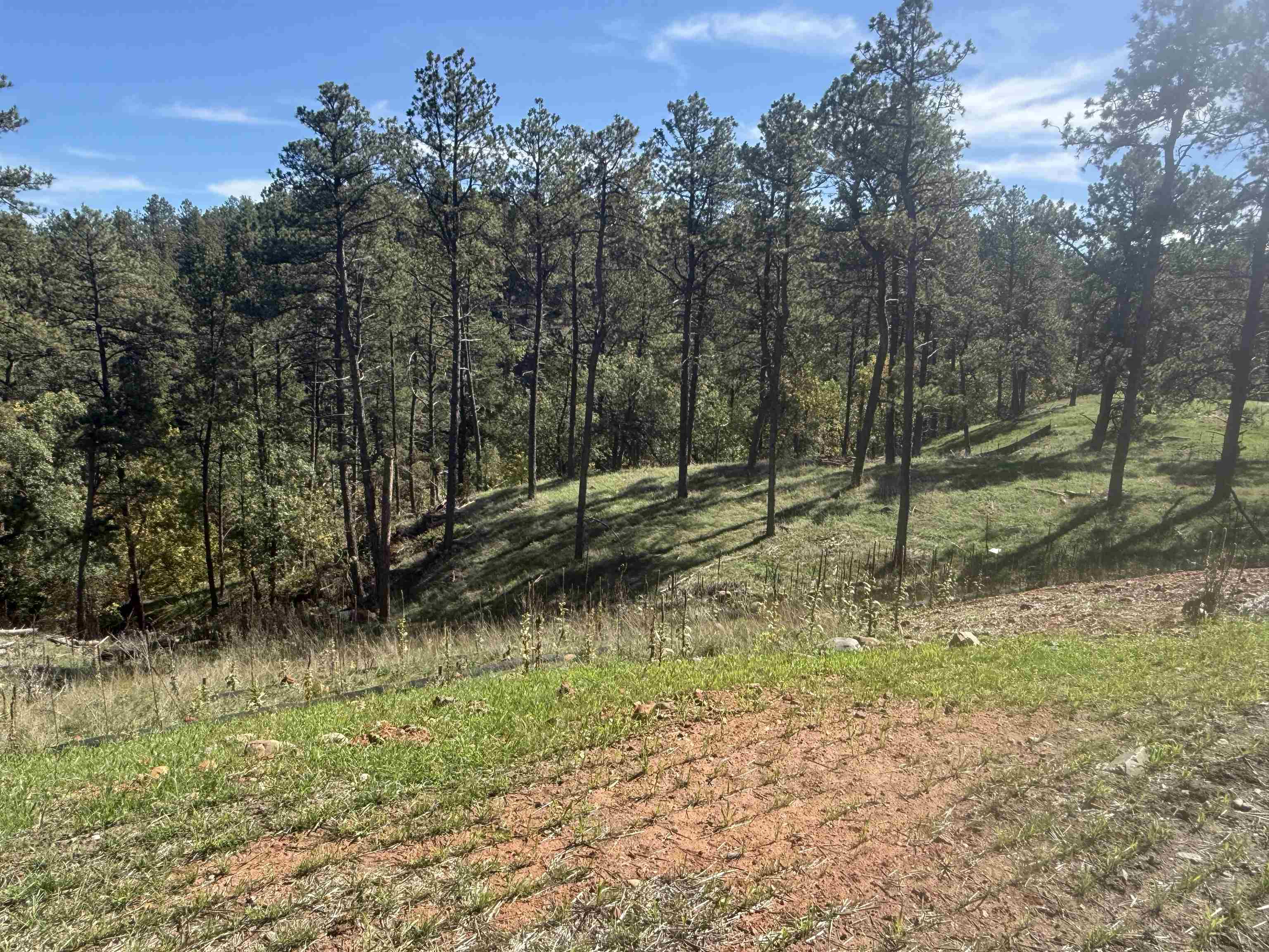 5224 Wind River Road Property Photo 2