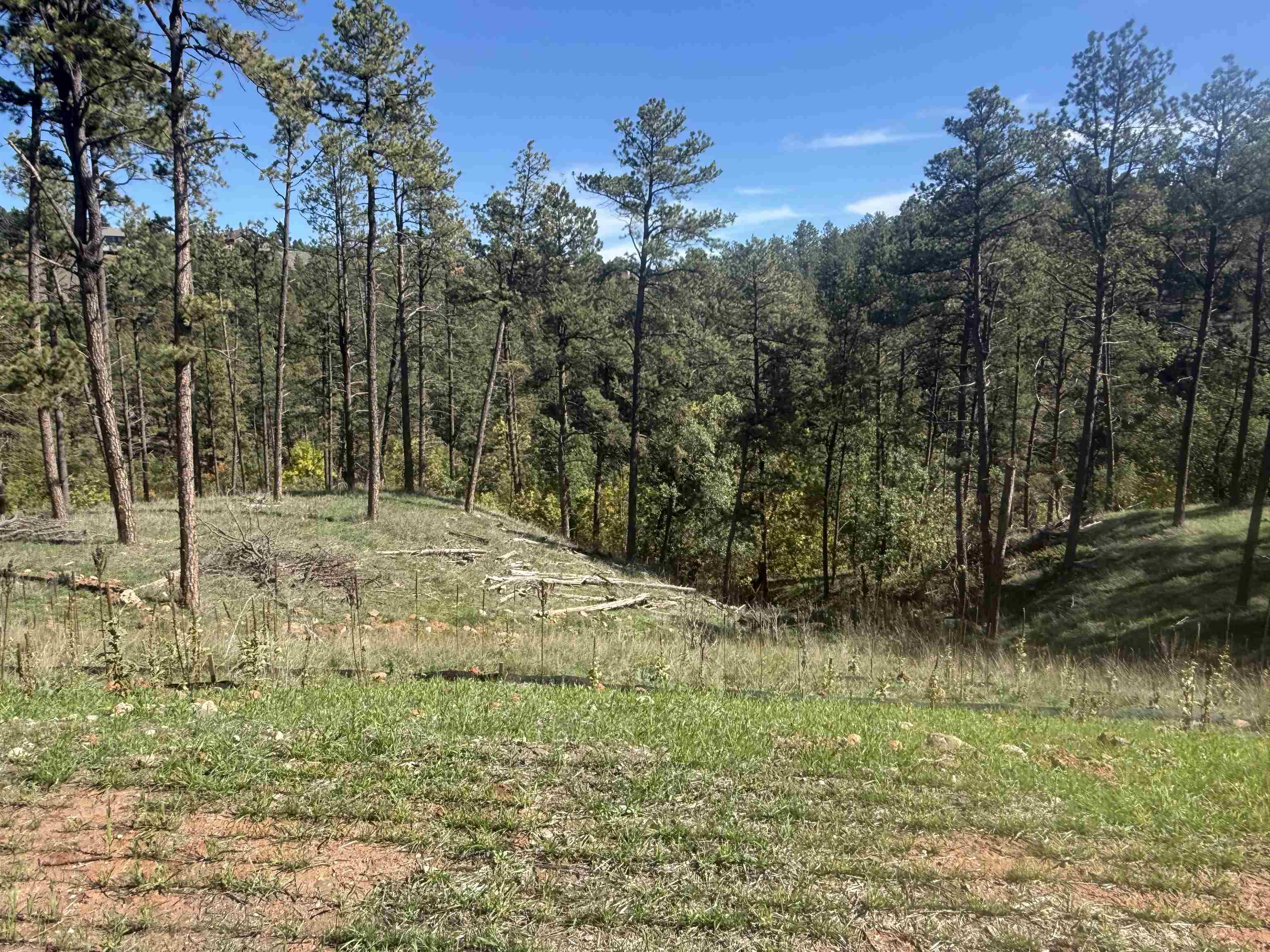 5224 Wind River Road Property Photo 3
