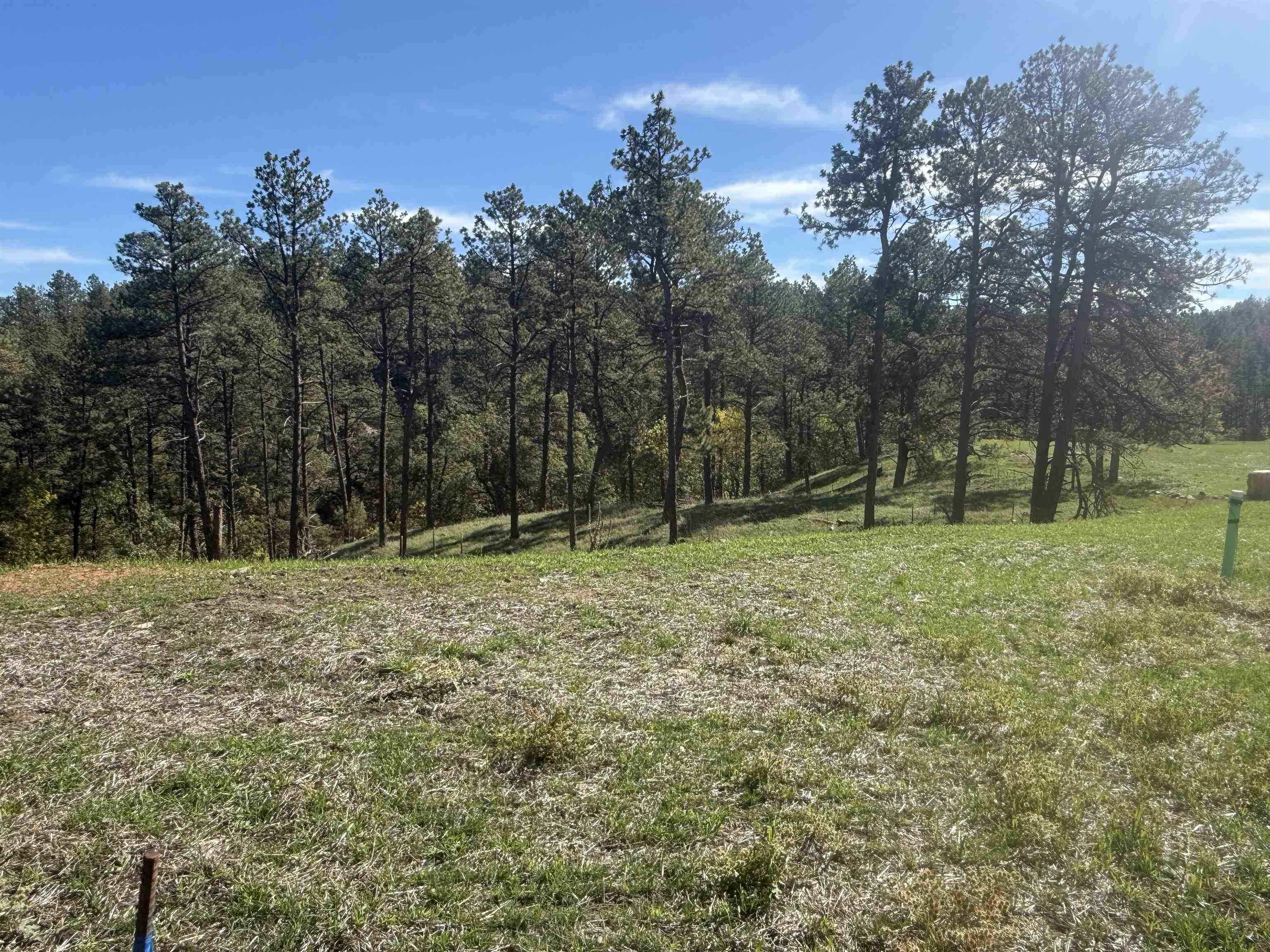5224 Wind River Road Property Photo 5