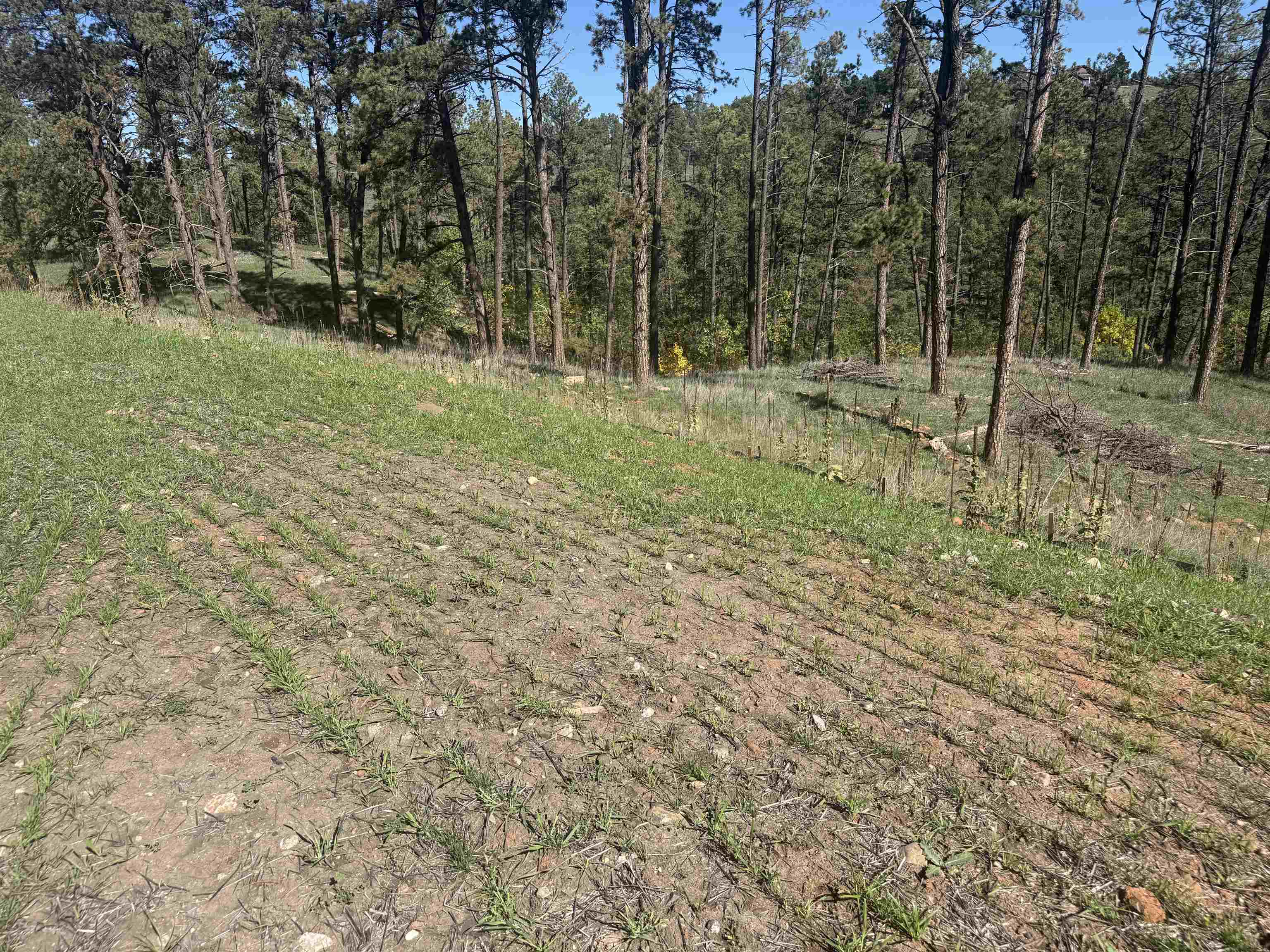 5224 Wind River Road Property Photo 7