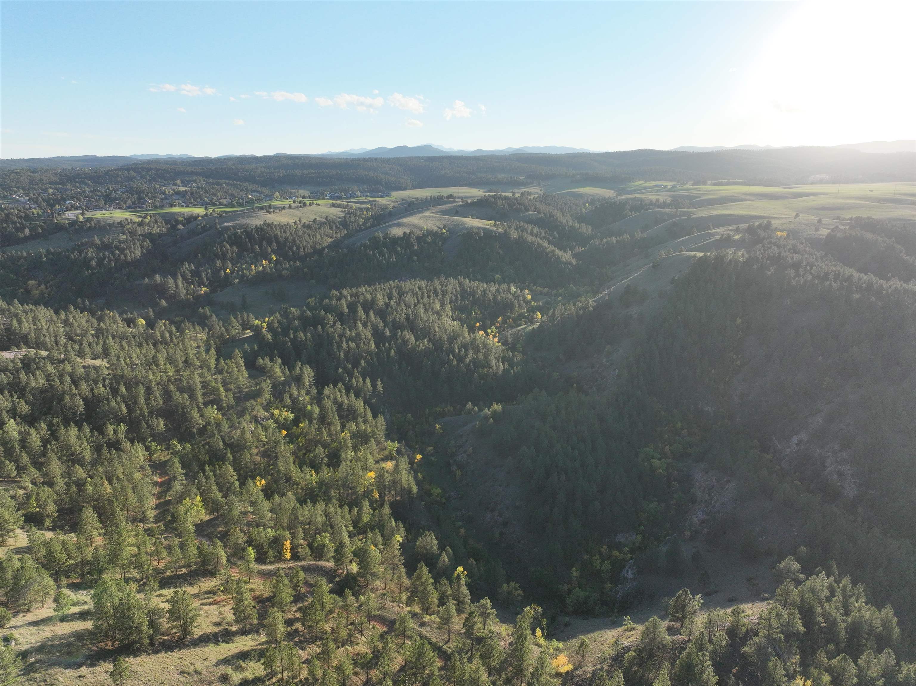 5224 Wind River Road Property Photo 13