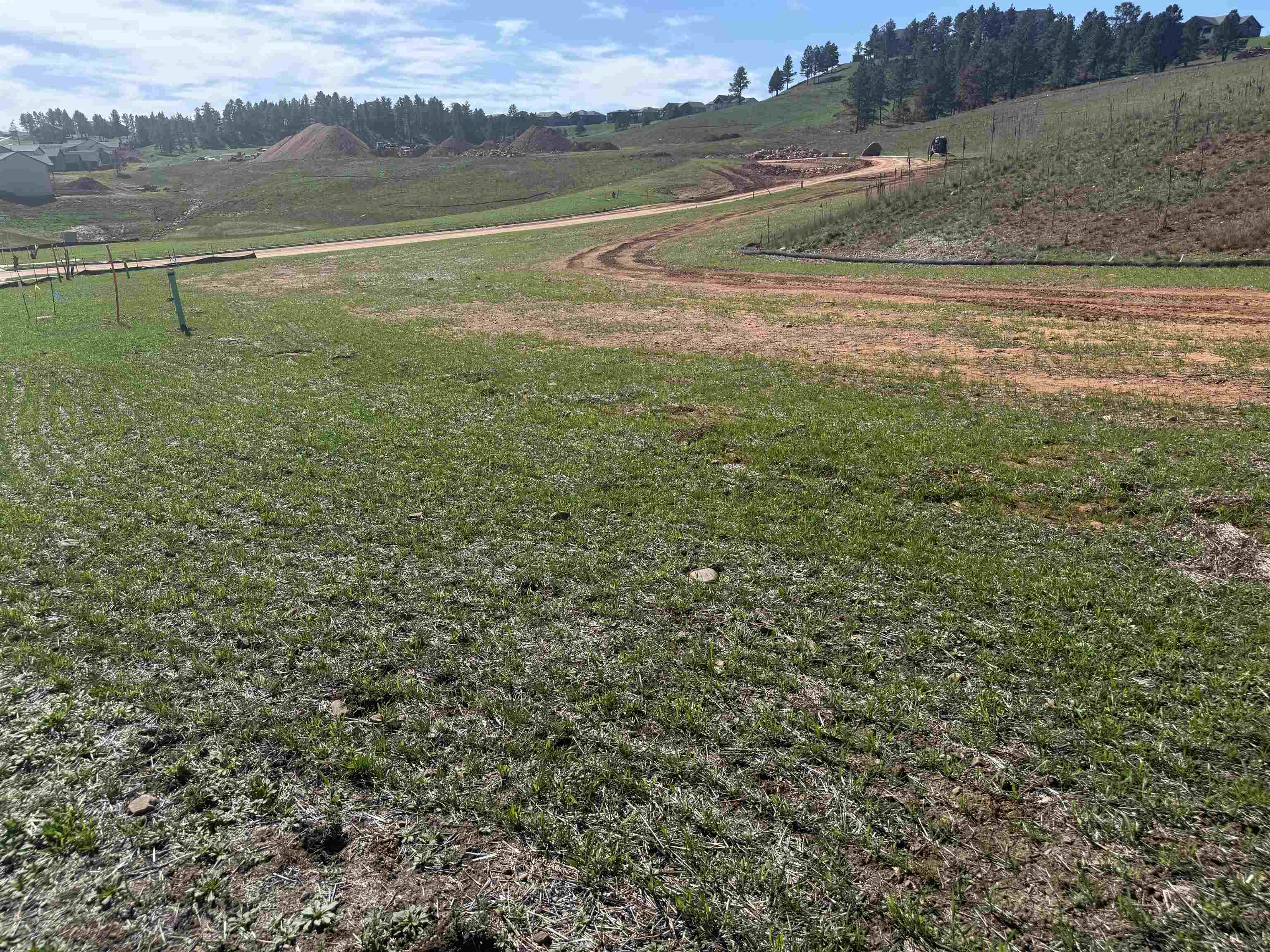 5225 Wind River Road Property Photo 4
