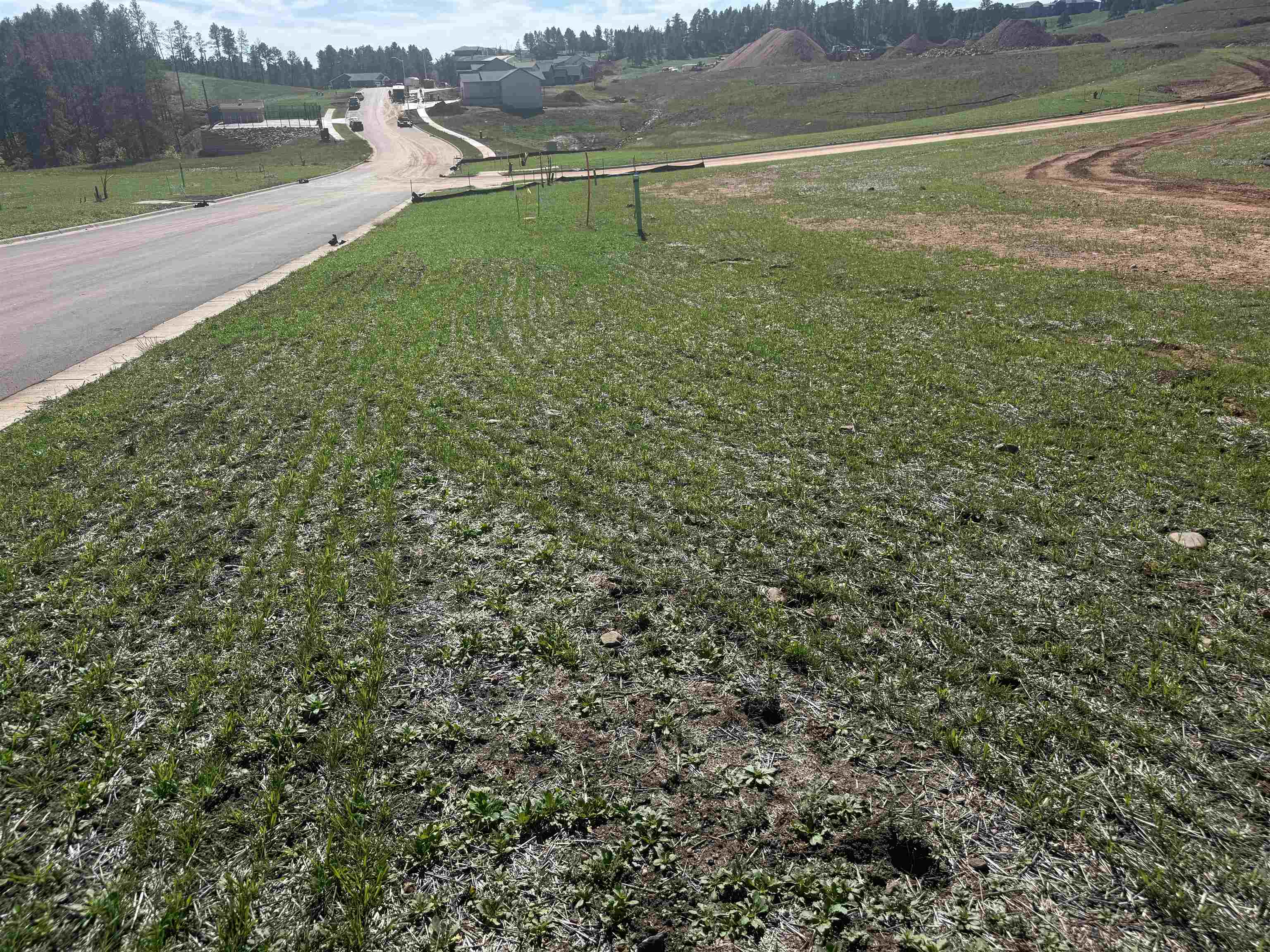 5225 Wind River Road Property Photo 5