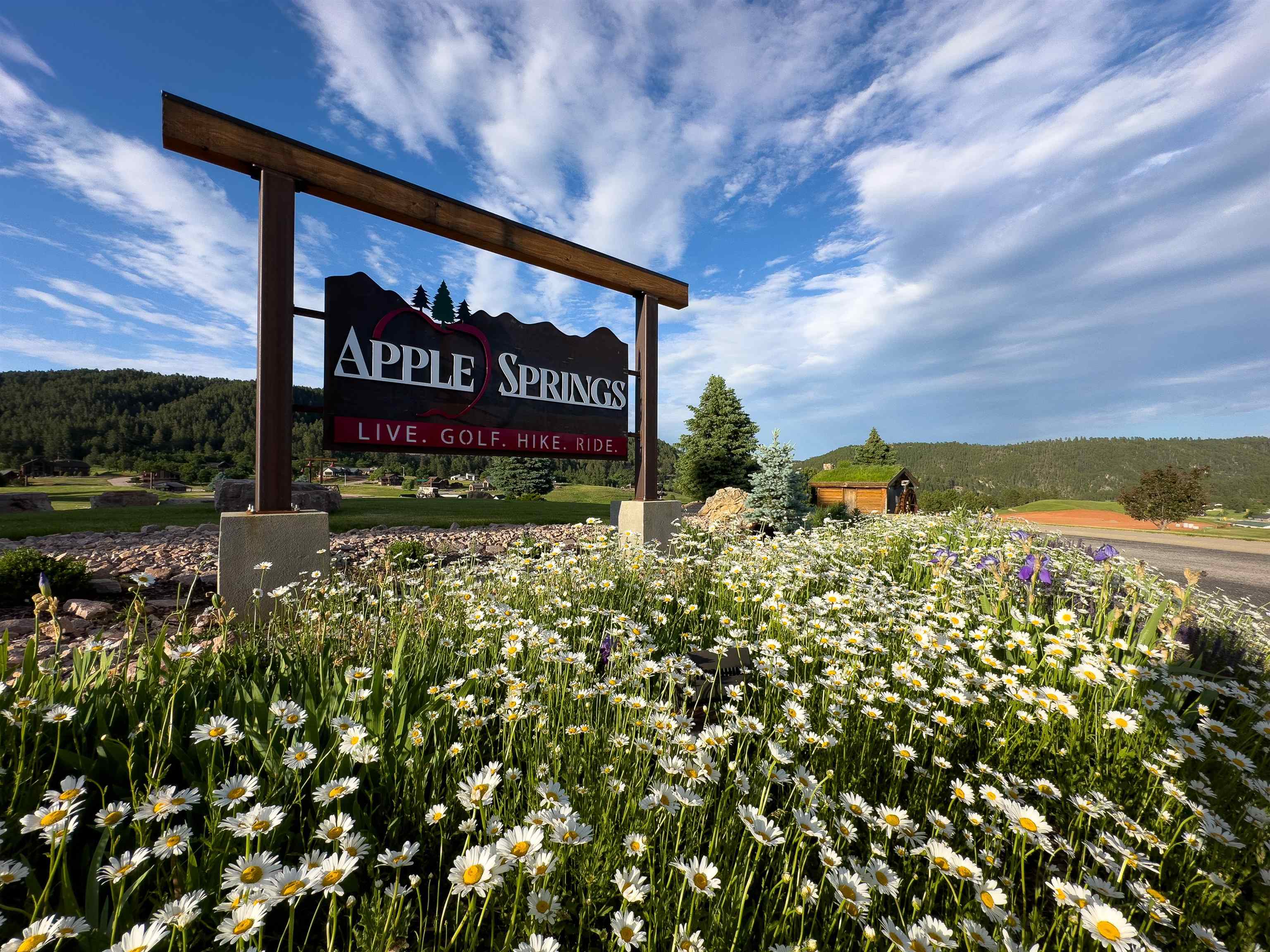 Lot 8a Block 15 Apple Springs Boulevard Property Photo 21