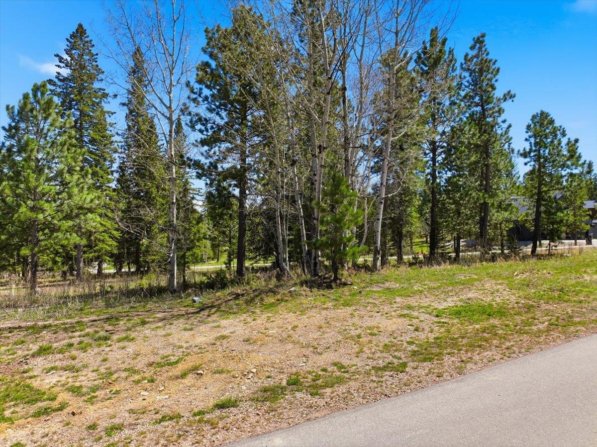 Lot 4 Block 6 Woodland Way Property Photo 2