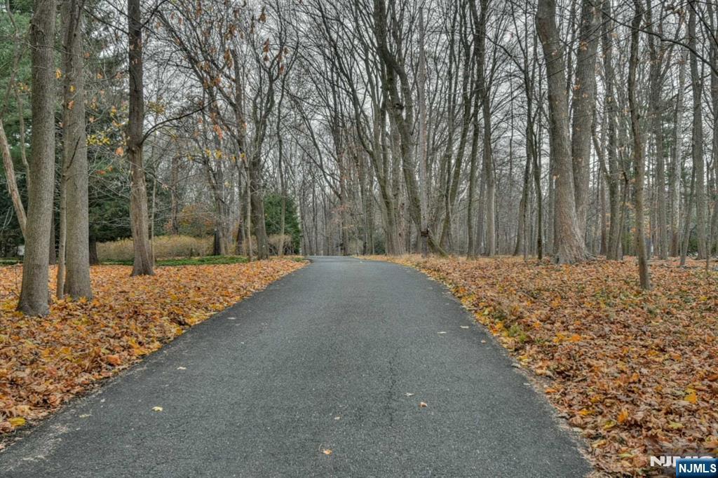 813 E Saddle River Road Property Photo 4