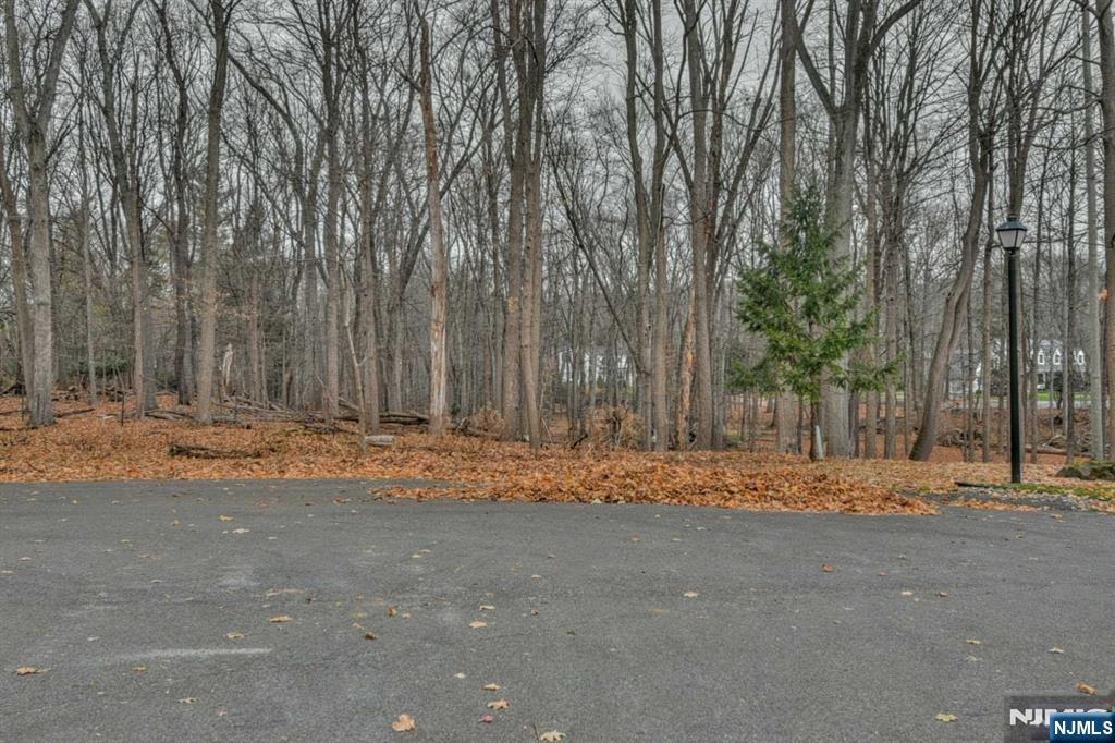 813 E Saddle River Road Property Photo 5
