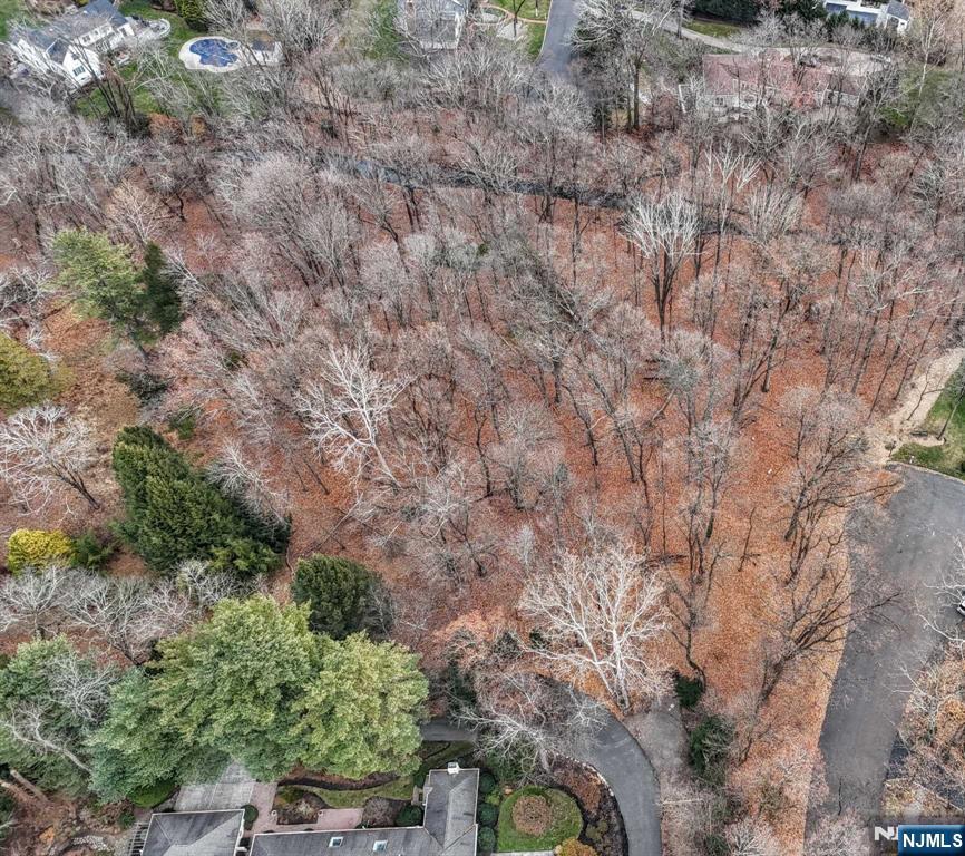 813 E Saddle River Road Property Photo 8