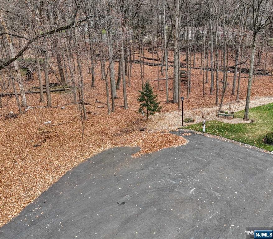 813 E Saddle River Road Property Photo 9