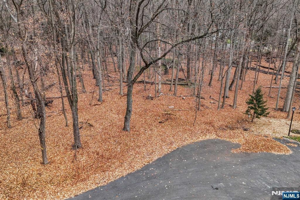 813 E Saddle River Road Property Photo 10