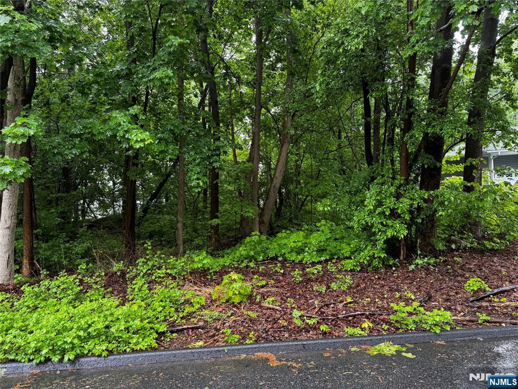 0 Walnut Street Property Photo 1