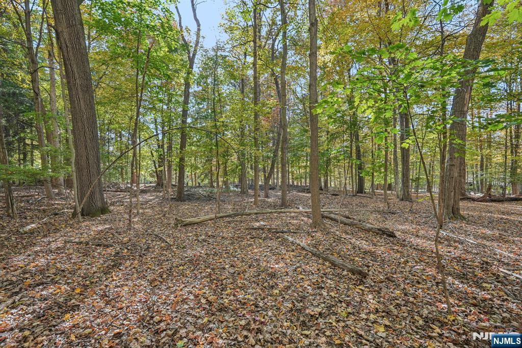 59 Old Stone Church Road Property Photo 22