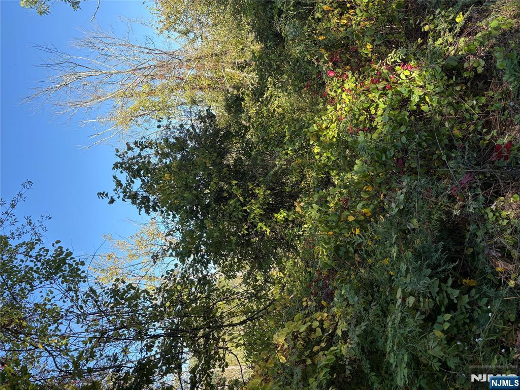 00 Russling Road Property Photo 3