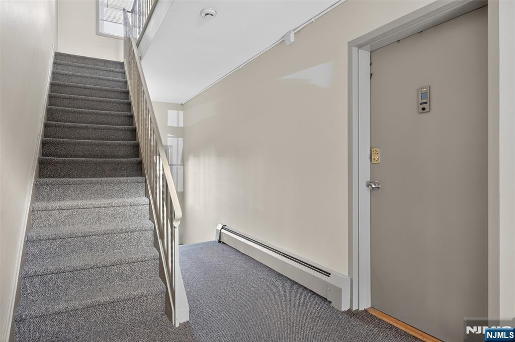 34 Knox Terrace 1a Property Photo 2