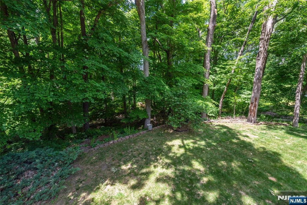 6 Mohawk Trail Property Photo 18