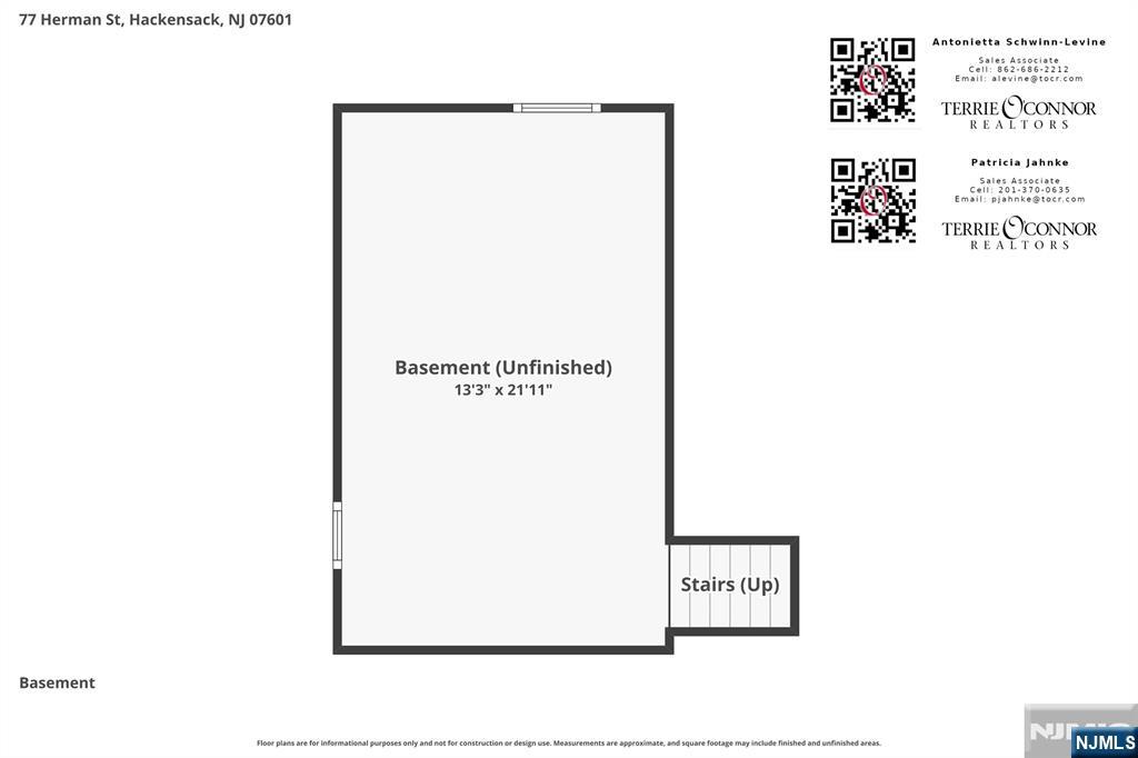 77 Herman Street Property Photo 41
