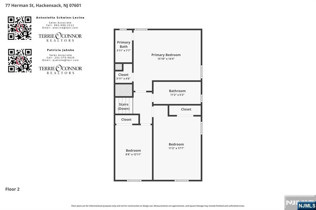 77 Herman Street Property Photo 47