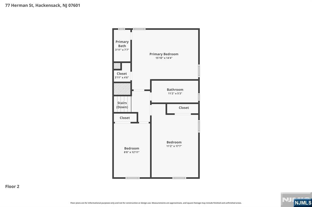 77 Herman Street Property Photo 48