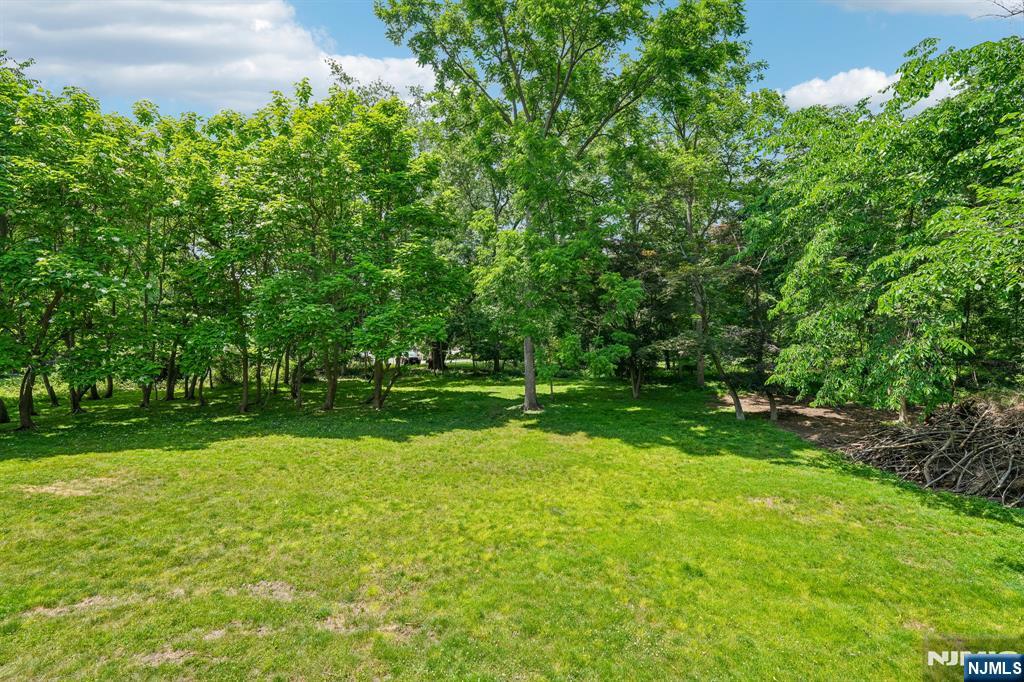 52 North Road Property Photo 28