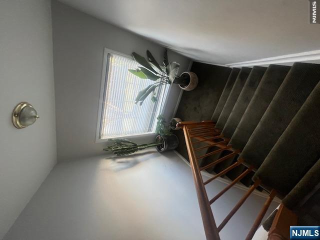 30 Belle Oak Lane Property Photo 15