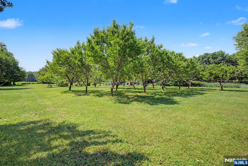460 Shades Of Death Road Property Photo 31