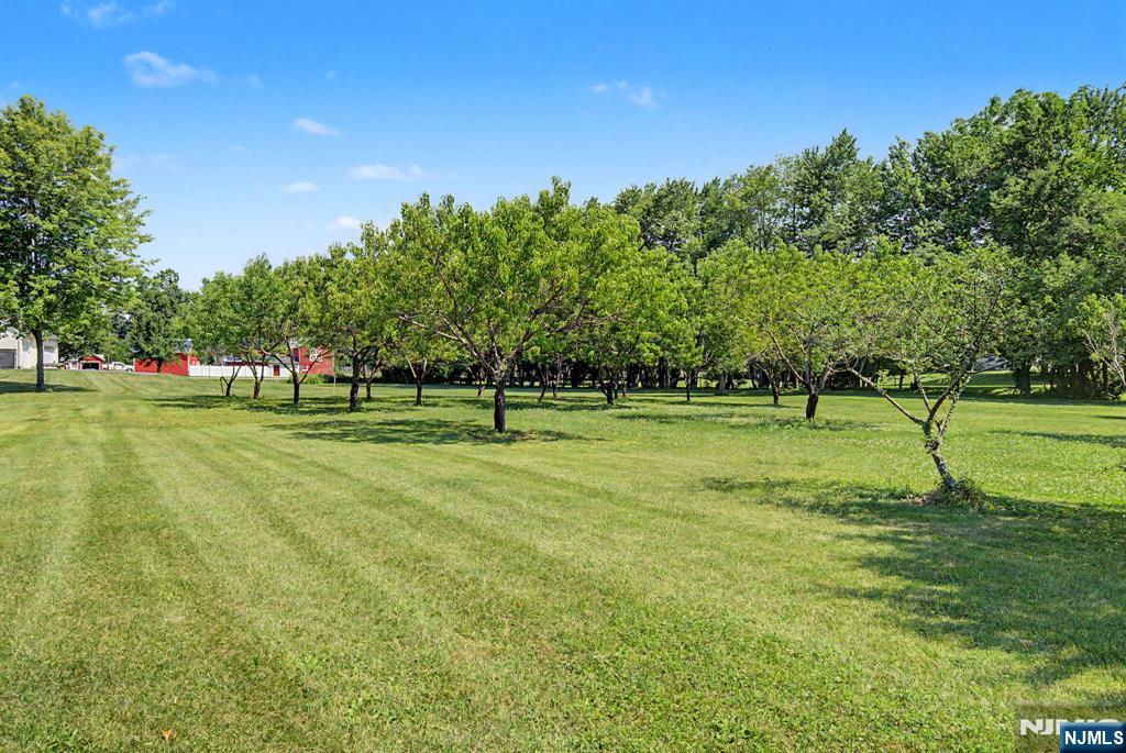 460 Shades Of Death Road Property Photo 32