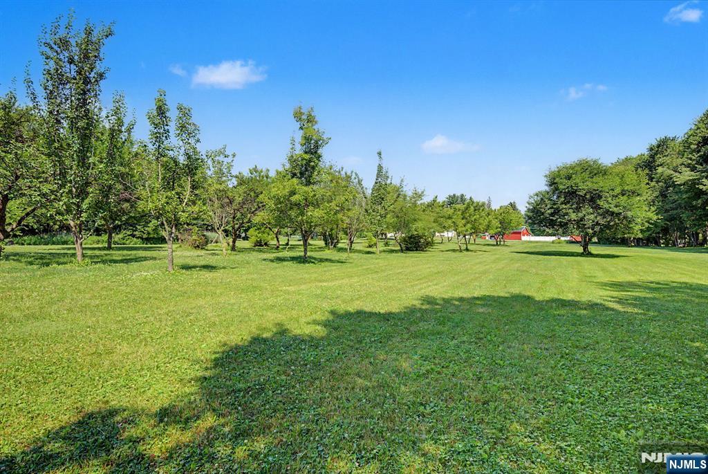 460 Shades Of Death Road Property Photo 34