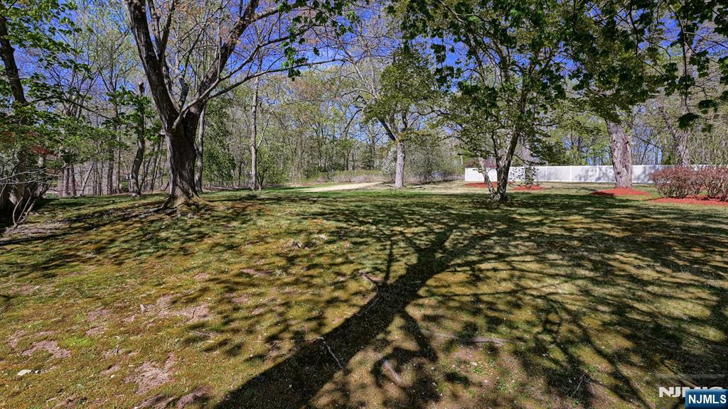 227 Emily Drive Property Photo 29