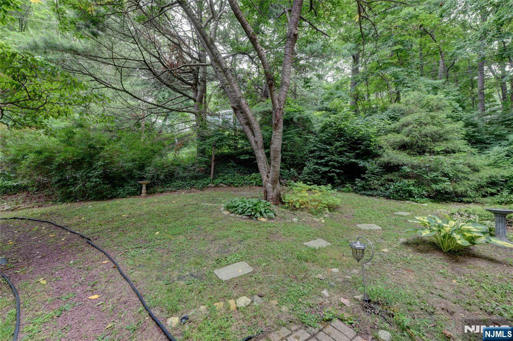36 Lavina Trail Property Photo 4