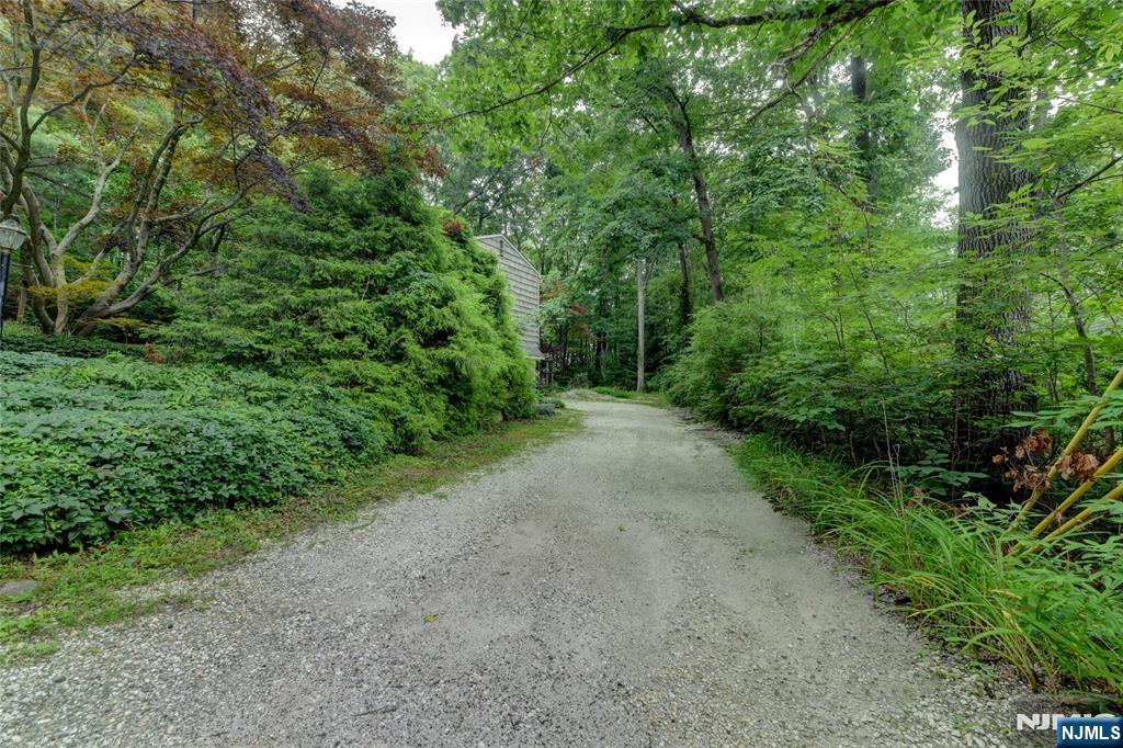 36 Lavina Trail Property Photo 5