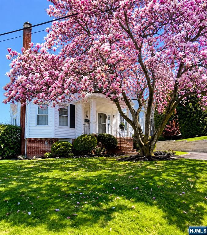 49 Stewart Avenue Property Photo 4